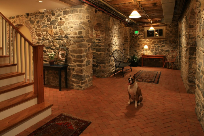 Picture dog on brick tile floor, stone walls